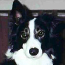 Anders was adopted in June, 2003